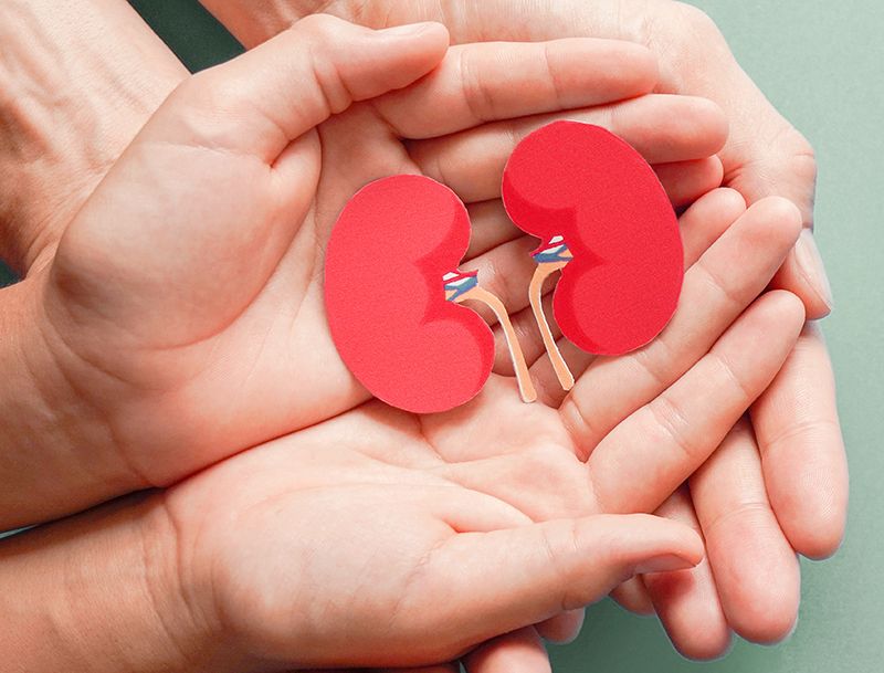 Life After Kidney Transplant: A Complete Recovery Guide
