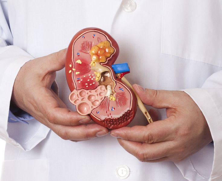 Kidney Disease Treatment in Gurgaon: When Should You See a Specialist?