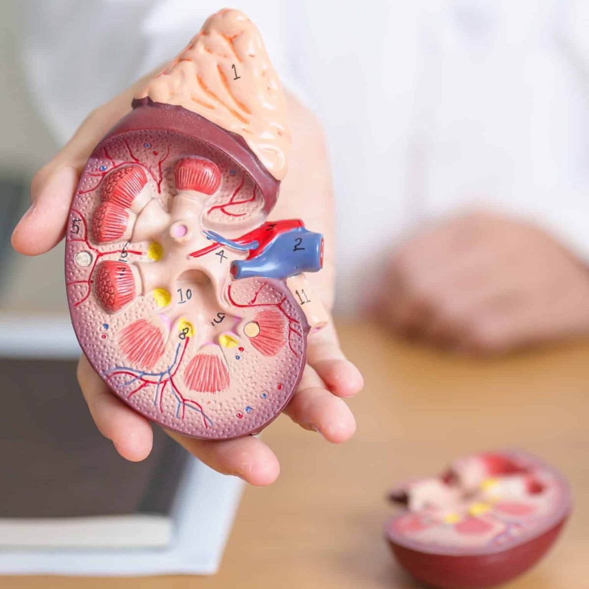 Haemodialysis